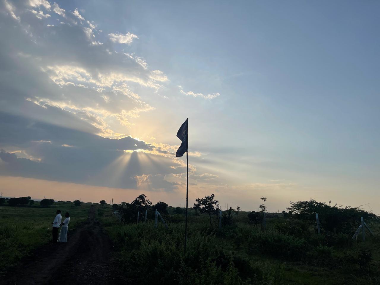 An evening in the countryside: Actual site photograph